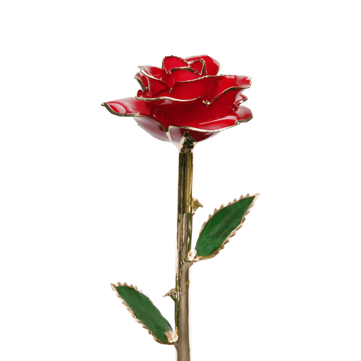 24k Gold Dipped Rose