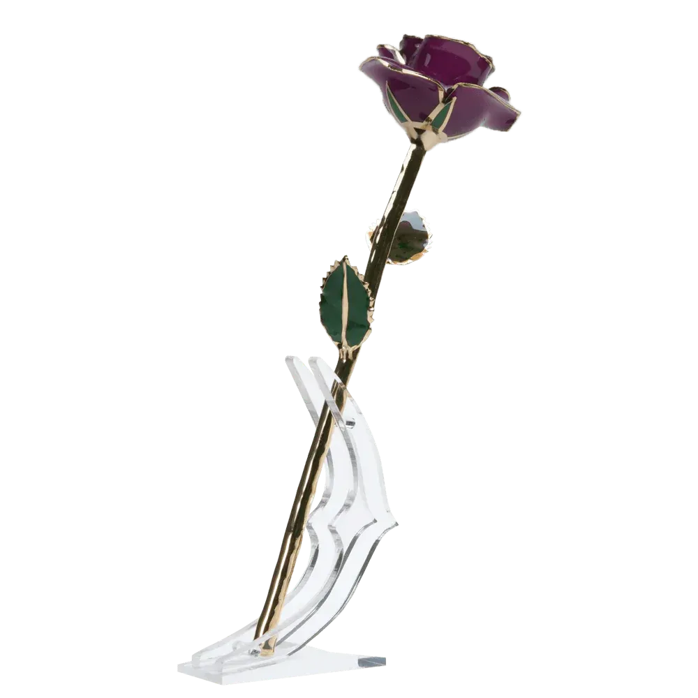 24k Gold Dipped Rose