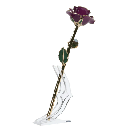 24k Gold Dipped Rose