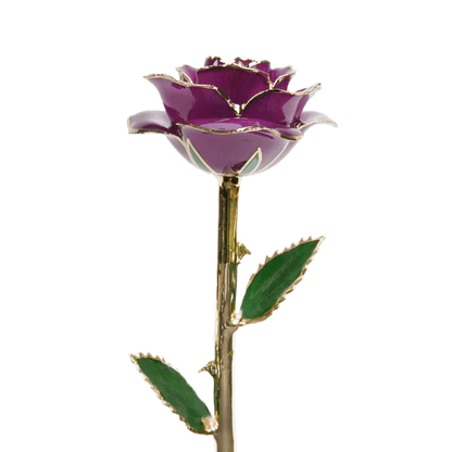 24k Gold Dipped Rose
